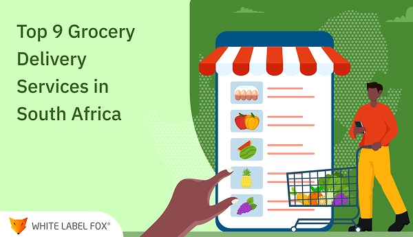 top 9 online grocery delivery service providers in south africa