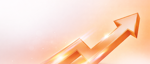 Launch & Growth Support
