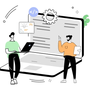 100% Professional Services