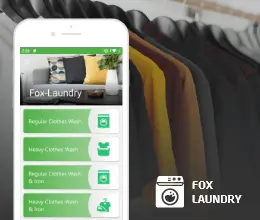 on demand dry cleaning app