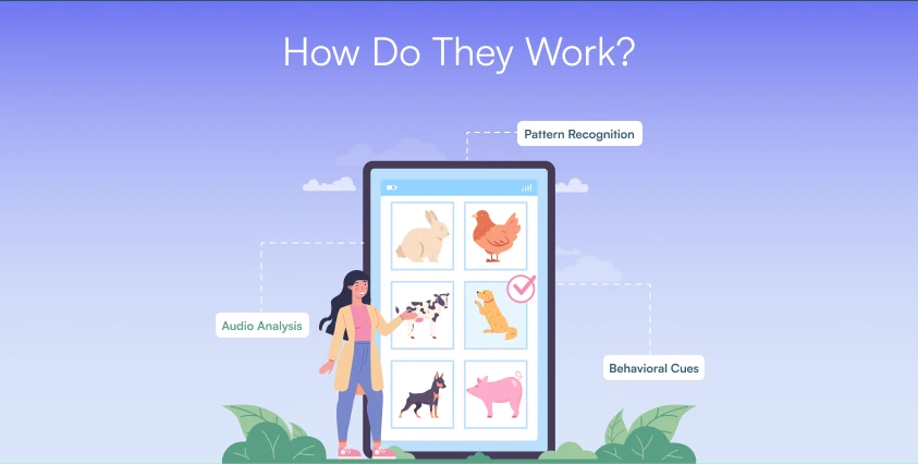 How Dog Translator Apps Work?